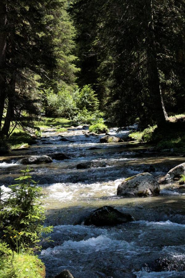 Bergnest Oetztal - Appartements Umhausen Esterno foto